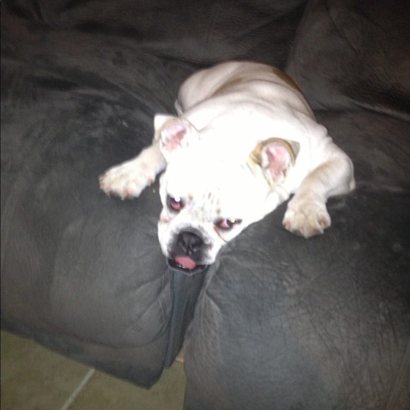 Rocky + Daisy - Picture 8 of 11